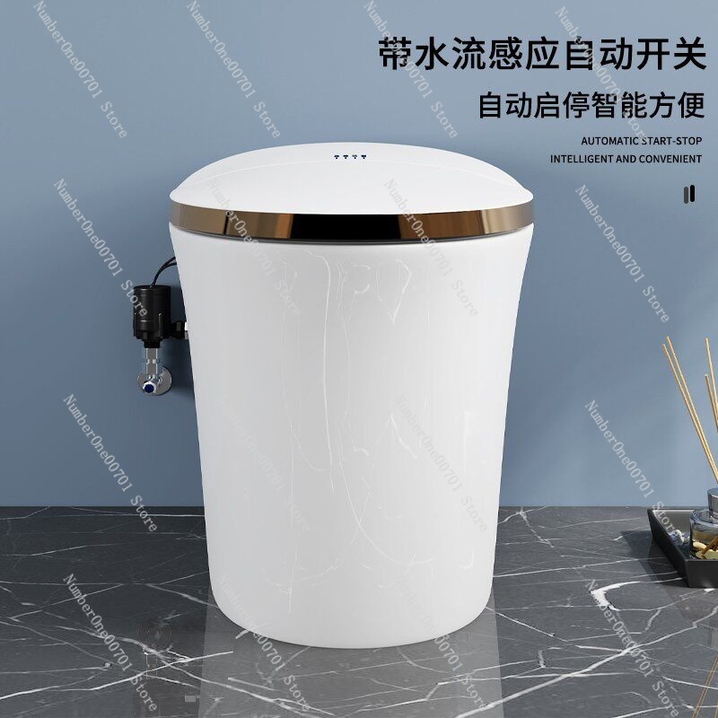Smart Toilet Booster Pump Auto - огляд і ціна Home Bathroom Pressure Pump